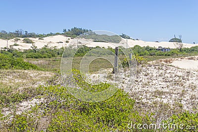 Vegetation over dunes at Itapeva Park in Torres beach Stock Photo