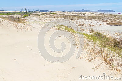 Vegetation over dunes at Itapeva Park in Torres beach Stock Photo