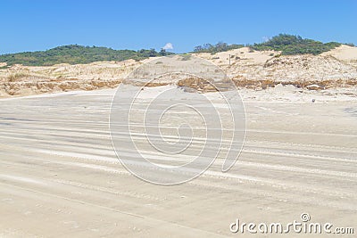 Vegetation over dunes at Itapeva Park in Torres beach Stock Photo