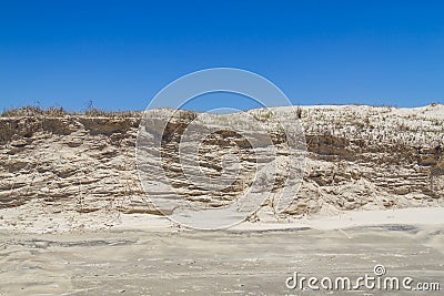 Vegetation over dunes at Itapeva Park in Torres beach Stock Photo