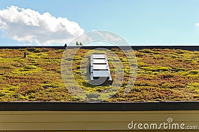 Vegetative Roof and Skylight Stock Photo