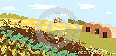 Veggies growth in farmland vector concept Vector Illustration