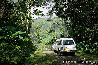 Vehicle on a dirt road through the jungle in Raiatea, Tahiti Editorial Stock Photo