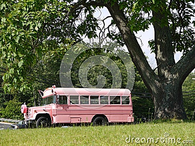 Vehicle: modified pink school bus side Stock Photo