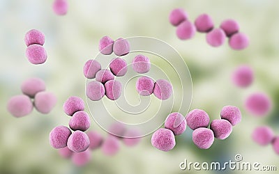 Veillonella bacteria, gram-negative anaerobic cocci Cartoon Illustration