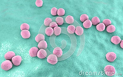 Veillonella bacteria, gram-negative anaerobic cocci Cartoon Illustration