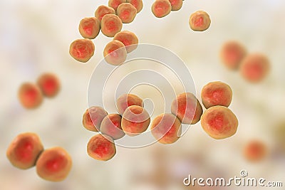 Veillonella bacteria, gram-negative anaerobic cocci Cartoon Illustration