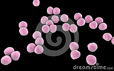 Veillonella bacteria, gram-negative anaerobic cocci Cartoon Illustration