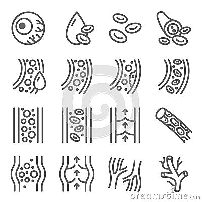 Vein icon illustration vector set. Contains such as Capillary, Cell, Hemoglobin, Blood vessel, Artery and more. Editable stroke Vector Illustration