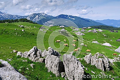 Velika Planina or Big Pasture Plateau, Slovenia. Stock Photo