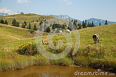 Velika planina, Slovenia Stock Photo