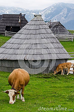 Velika Planina, Slovenia Stock Photo