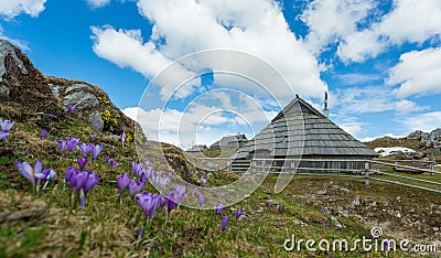 Velika planina Stock Photo