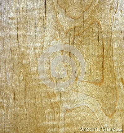 Veneer texture Stock Photo