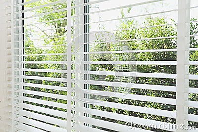 venetian blinds Stock Photo