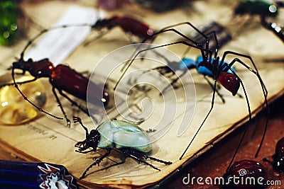 Venetian souvenir - Glass insects Stock Photo