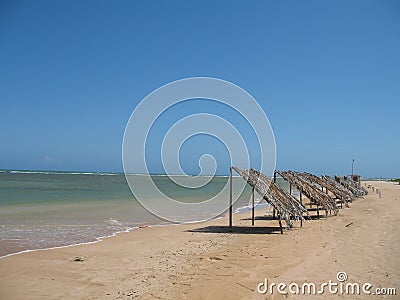 Venezuela, Adicora Peninsule of Paraguana, Caviar beach , falcon state Stock Photo