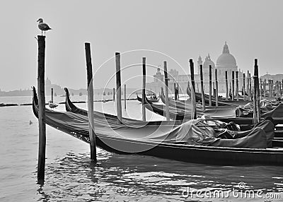 Venice Gondole Stock Photo