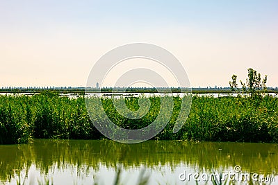 The Venice Lagoon or Venetian Lagoon in Venetian dialect unaaguna de Venesia or È½aguna vÃ¨neta is a lagoon of the northern Adriat Stock Photo