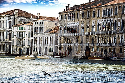 Venice Venezia Italy Editorial Stock Photo