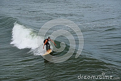 A lone male surfer wearing a wet suit concentrating on riding a wave Editorial Stock Photo