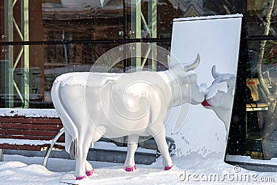 Sculpture of Glamour cow watching a mirror on a snowy winter day Editorial Stock Photo