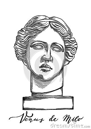 Venus de Milo head sculpture drawn in engraving technique Vector Illustration