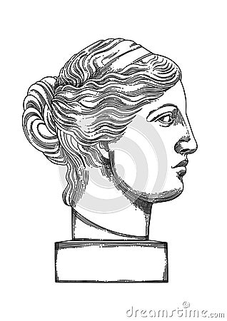 Venus de Milo head sculpture drawn in engraving technique Vector Illustration