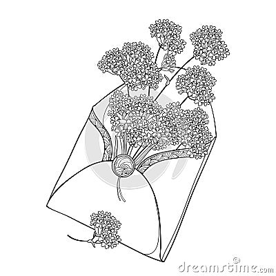 Vector bouquet of outline Verbena or Argentinian vervain flower in open craft envelope in black isolated on white background. Vector Illustration