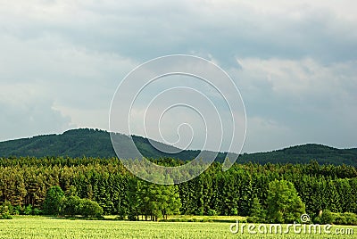 Verdant landscape Stock Photo