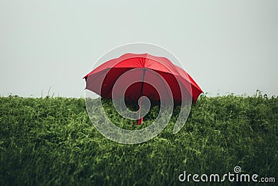 Verdant Red umbrella green grass. Generate Ai Stock Photo