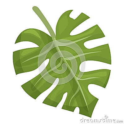 Verdure monstera icon cartoon vector. Foliage fashion Vector Illustration