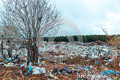 Verkhnie-Sergi, Russia - May 02, 2021. a terrible dump with plastic bags blown up by the wind. barbaric attitude to nature Stock Photo