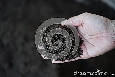 Vermicompost fertilizer for planting trees Stock Photo