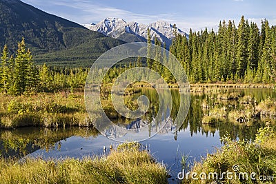 Vermillion Lakes Fenland Stock Photo