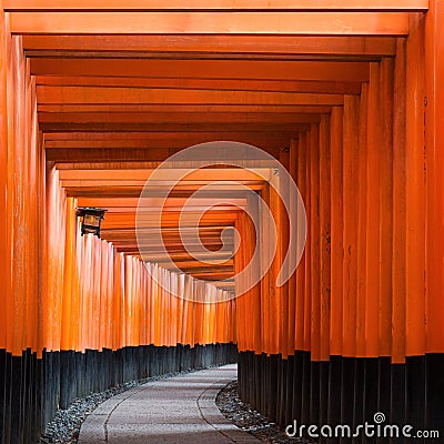 Torii path at Fushimi Inari Taisha Shrine in Kyoto, Japan Stock Photo