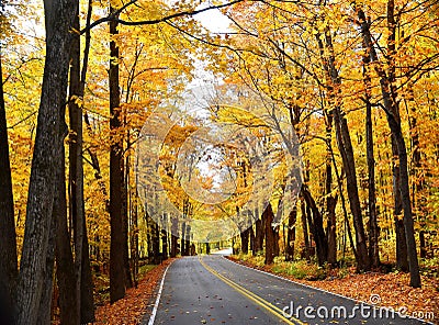 Vermont Fall Back Road Stock Photo