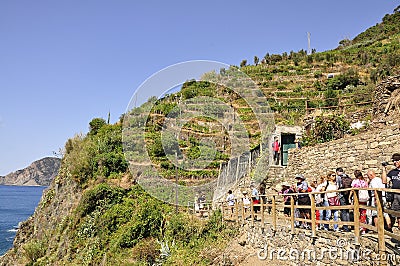 Vernazza, 28th august: Group of Tourists on the hill with terraced vineyard of Vernazza village resort from Cinque Terre in Italy Editorial Stock Photo