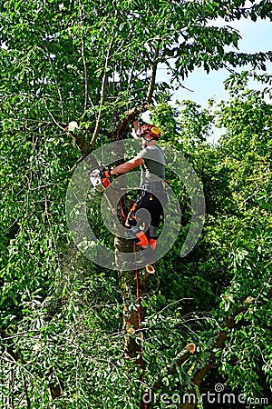 Verneuil sur Seine; France - june 22 2020 : a gardener is pruning a tree Editorial Stock Photo