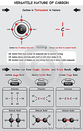 Versatile Nature of Carbon Infographic Diagram Vector Illustration