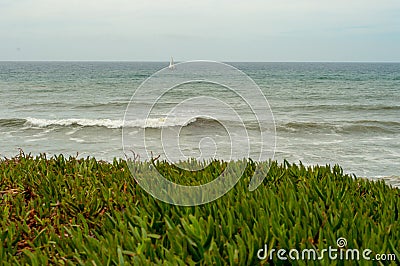 Versatile nature and a roaring sea in San Diego USA - Free your mind at the beach Stock Photo