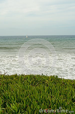 Versatile nature and a roaring sea in San Diego USA Stock Photo