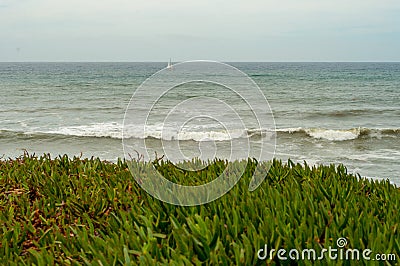 Versatile nature and a roaring sea in San Diego USA Stock Photo