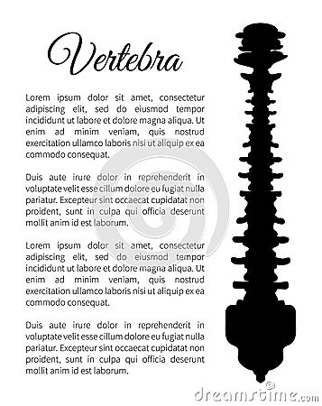 Vertebra Poster Bone Part Vector Illustration Vector Illustration