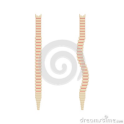 Vertebral dorsal column, healthy and curve of the spine. Spine of back is straight and curved scoliosis. Vector Vector Illustration