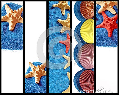 Vertical banner, heading - Starfish sand Stock Photo