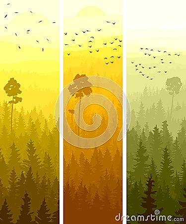 Vertical banners of hills coniferous wood. Vector Illustration