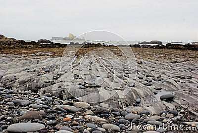 Vertical beds weathered smooth by coastal wave action Stock Photo