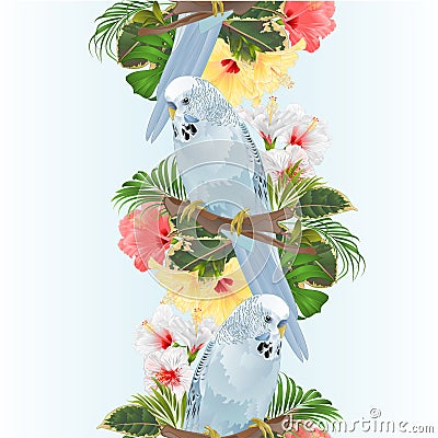 Vertical border seamless background bird Budgerigar, home pet ,blue pet parakeet on a branch bouquet with tropical flowers hibisc Vector Illustration