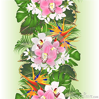 Vertical border seamless background tropical flowers floral arrangement with beautiful Strelitzia and white and pink orchids Vector Illustration